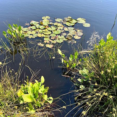 Landzicht Natuur Rust En Ruimte Oosterwolde  Exterior foto