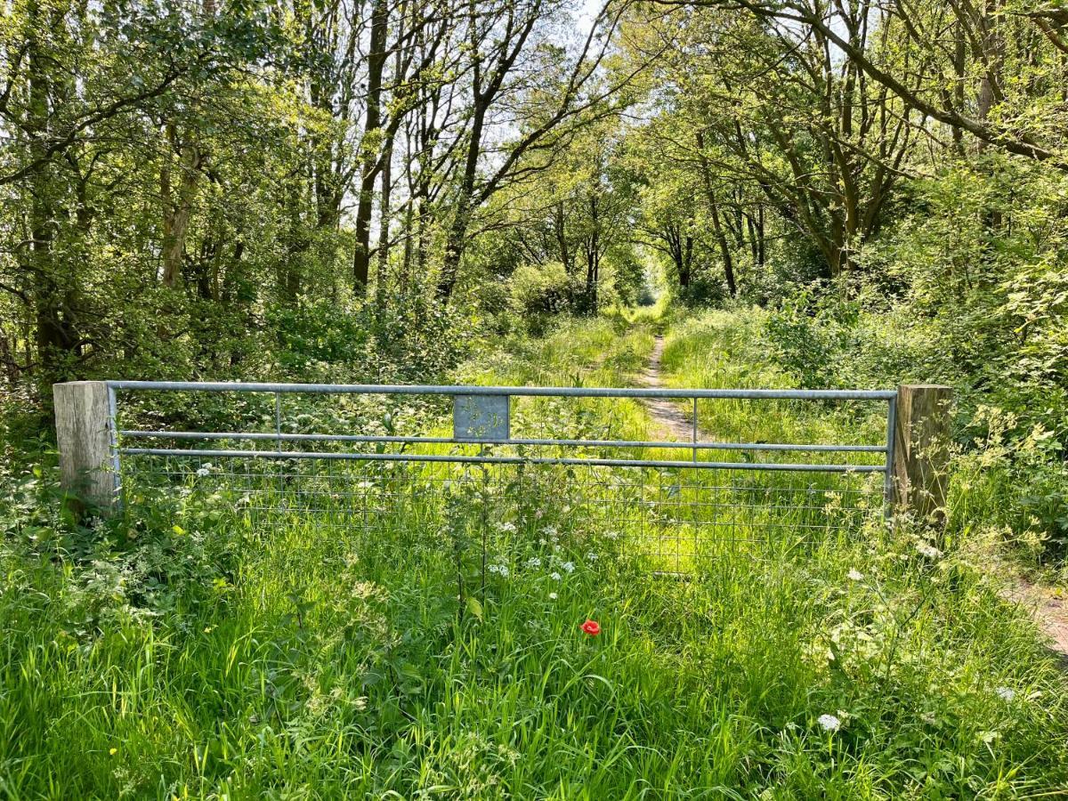 Landzicht Natuur Rust En Ruimte Oosterwolde  Exterior foto