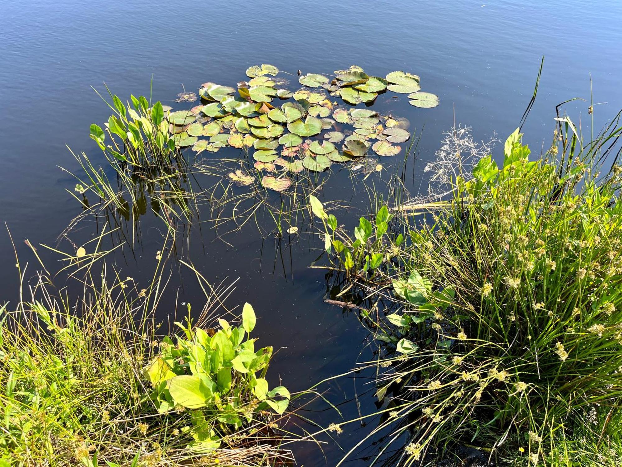 Landzicht Natuur Rust En Ruimte Oosterwolde  Exterior foto