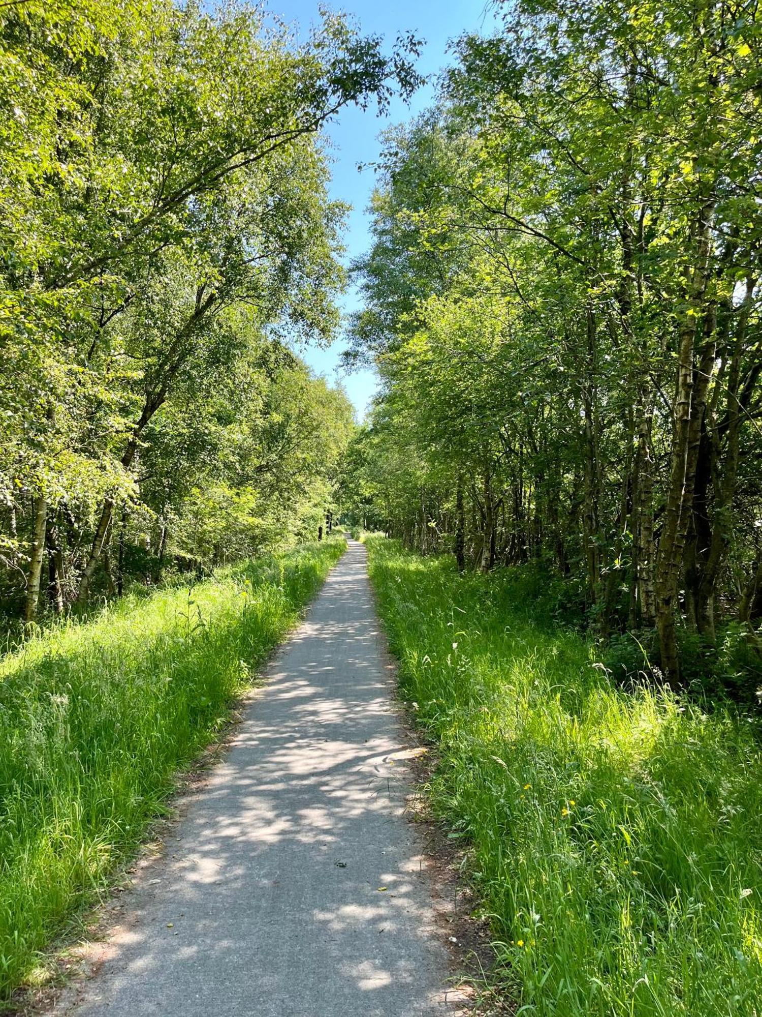 Landzicht Natuur Rust En Ruimte Oosterwolde  Exterior foto