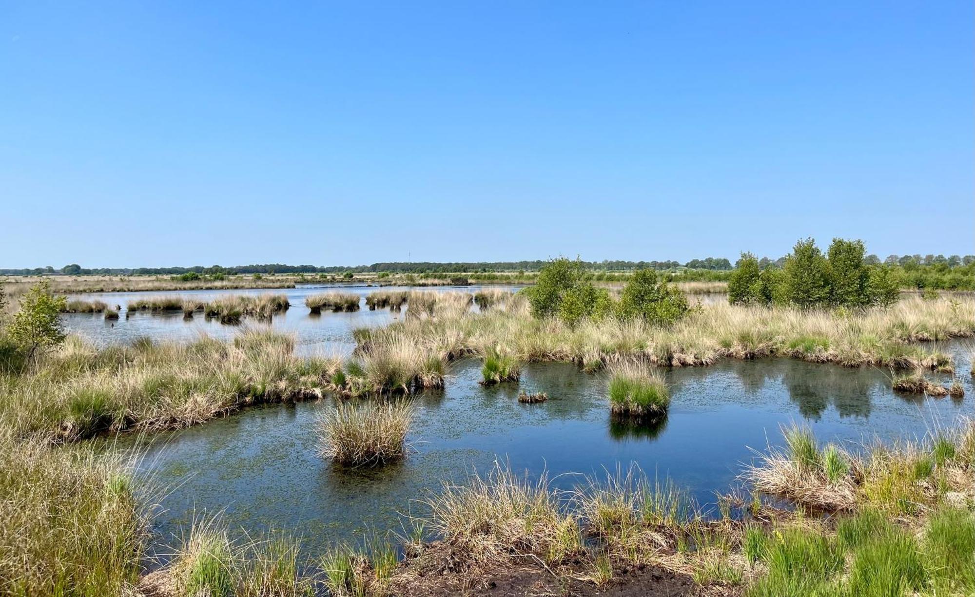Landzicht Natuur Rust En Ruimte Oosterwolde  Exterior foto