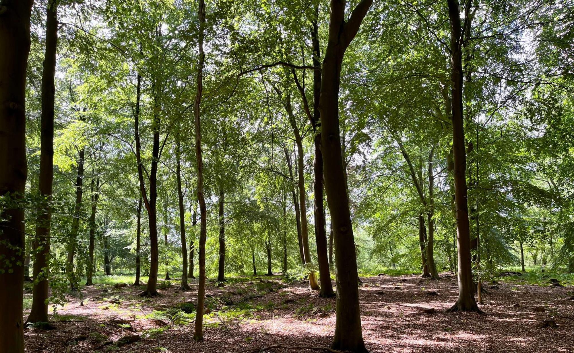 Landzicht Natuur Rust En Ruimte Oosterwolde  Exterior foto