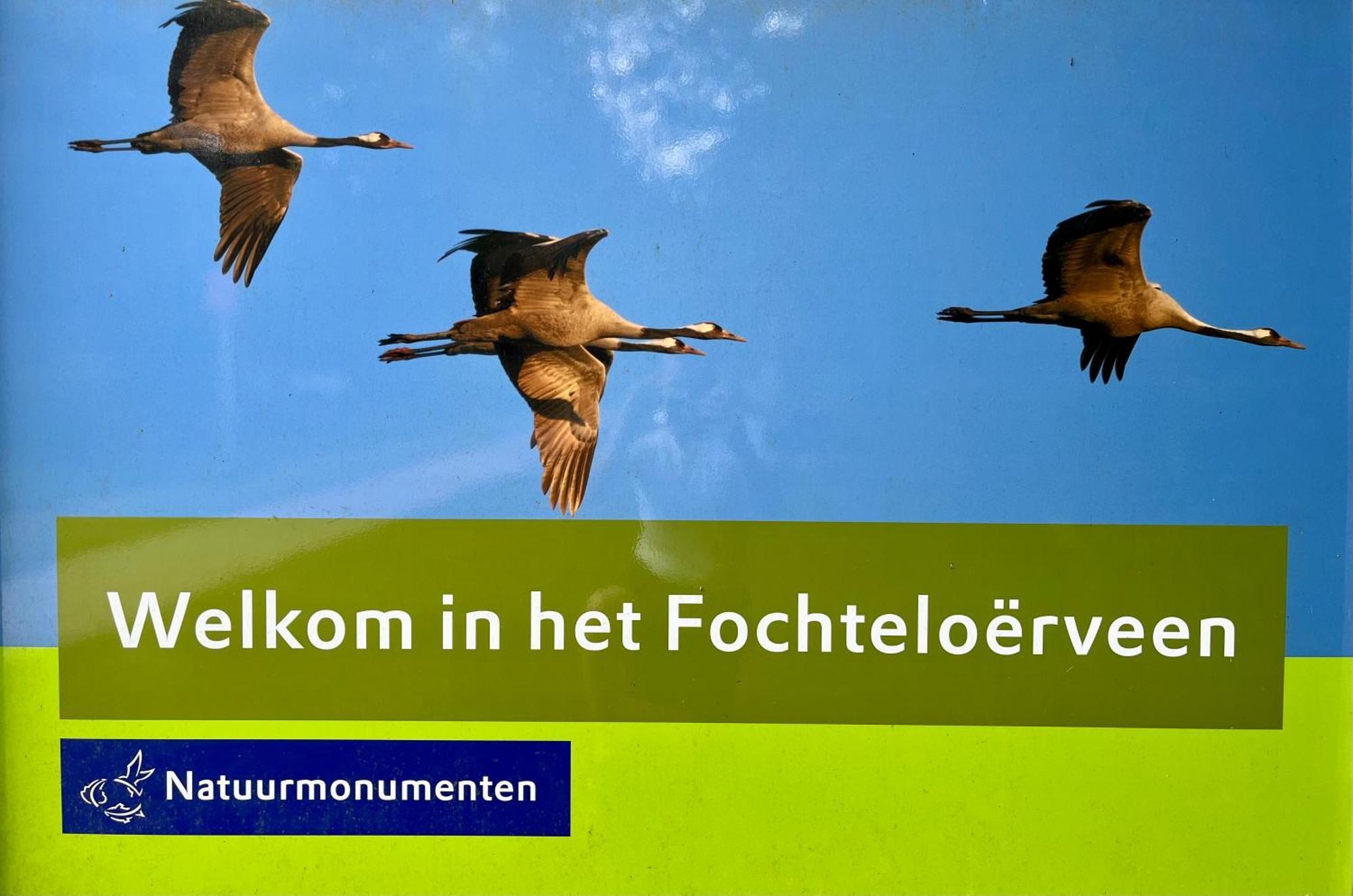 Landzicht Natuur Rust En Ruimte Oosterwolde  Exterior foto
